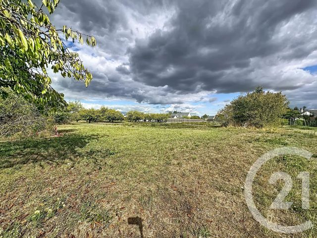 terrain à vendre - 2613.0 m2 - OLIVET - 45 - CENTRE - Century 21 L'Ecu D'Or