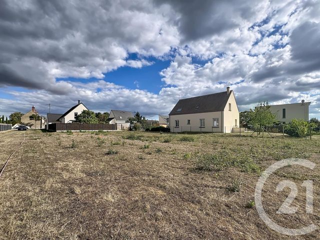 terrain à vendre - 2613.0 m2 - OLIVET - 45 - CENTRE - Century 21 L'Ecu D'Or