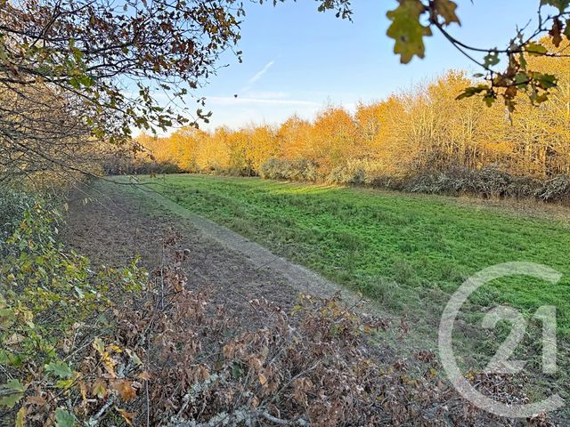 maison à vendre - 6 pièces - 209.04 m2 - OLIVET - 45 - CENTRE - Century 21 L'Ecu D'Or