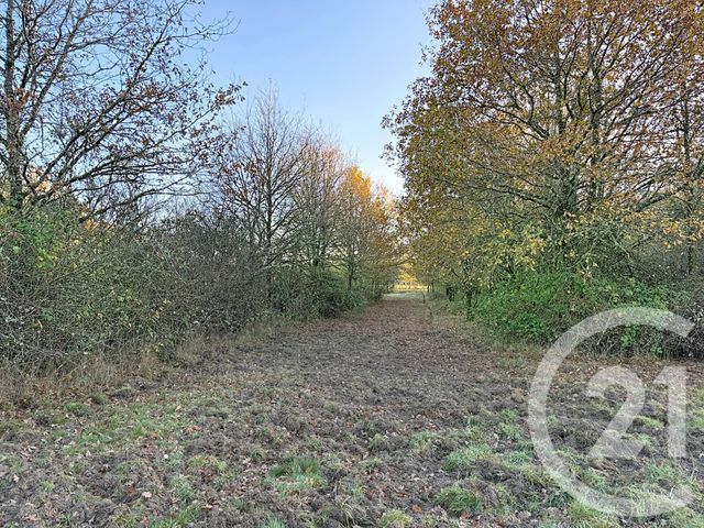 maison à vendre - 6 pièces - 209.04 m2 - OLIVET - 45 - CENTRE - Century 21 L'Ecu D'Or