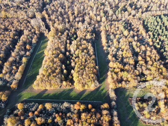 maison à vendre - 6 pièces - 209.04 m2 - MENESTREAU EN VILLETTE - 45 - CENTRE - Century 21 L'Ecu D'Or