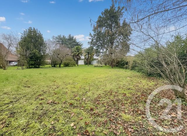 maison à vendre - 7 pièces - 154.0 m2 - OLIVET - 45 - CENTRE - Century 21 L'Ecu D'Or