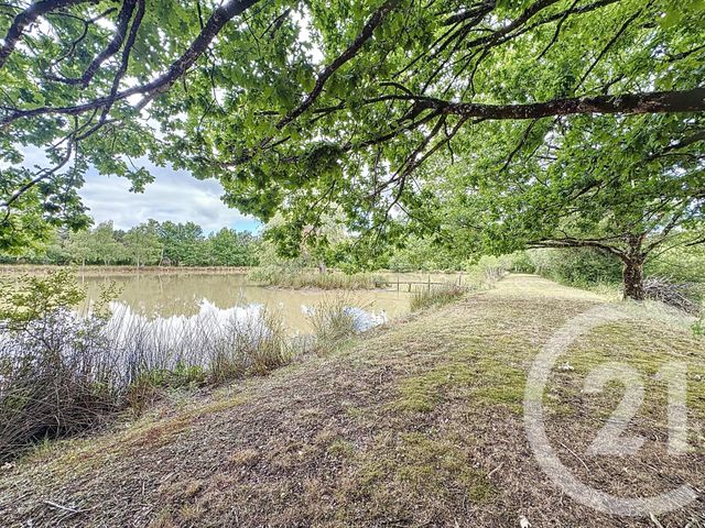 maison à vendre - 7 pièces - 240.0 m2 - ARDON - 45 - CENTRE - Century 21 L'Ecu D'Or