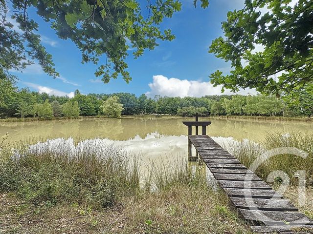 maison à vendre - 7 pièces - 240.0 m2 - ARDON - 45 - CENTRE - Century 21 L'Ecu D'Or